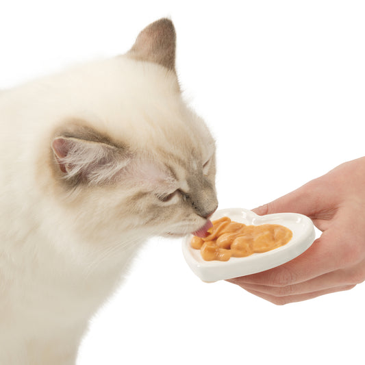 Building Trust with New Cats: Catit Creamy Treats and Dish