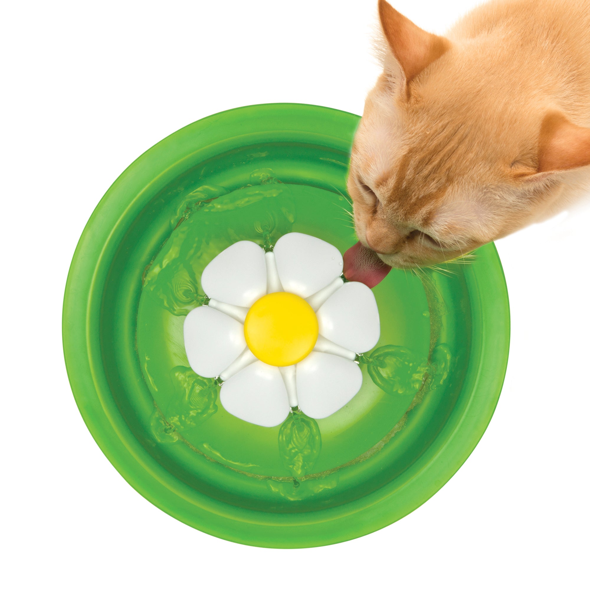 Vaporisateur d'herbe à chat Catit 2.0 – PetMax