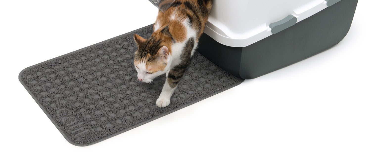 http://catit.us/cdn/shop/collections/Collections_-_Litter_Mats_and_Accessories.jpg?v=1674745574
