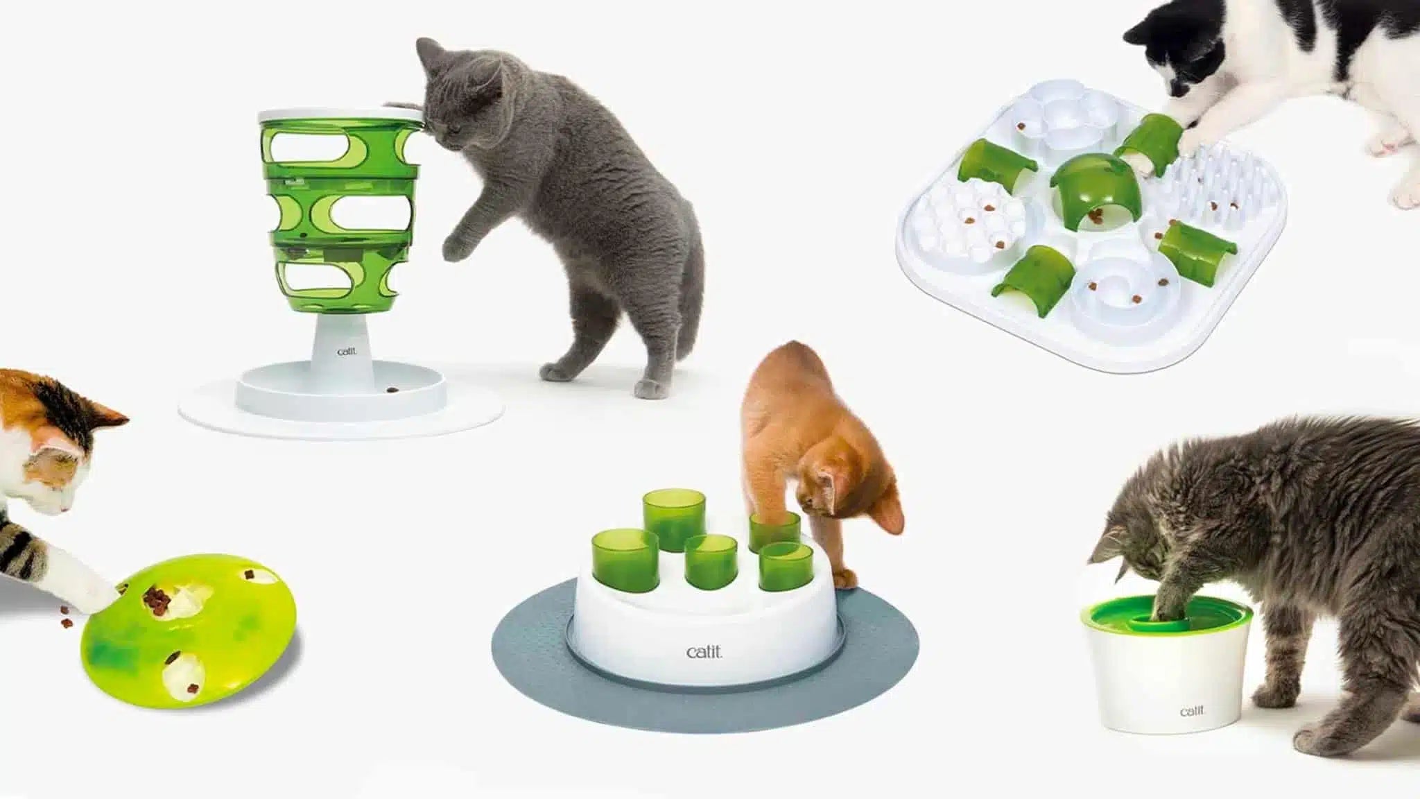 Puzzle feeders for your cat