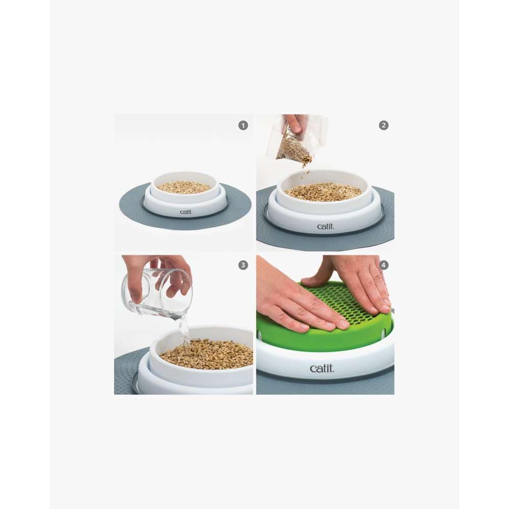 Catit Senses Cat Grass Kit