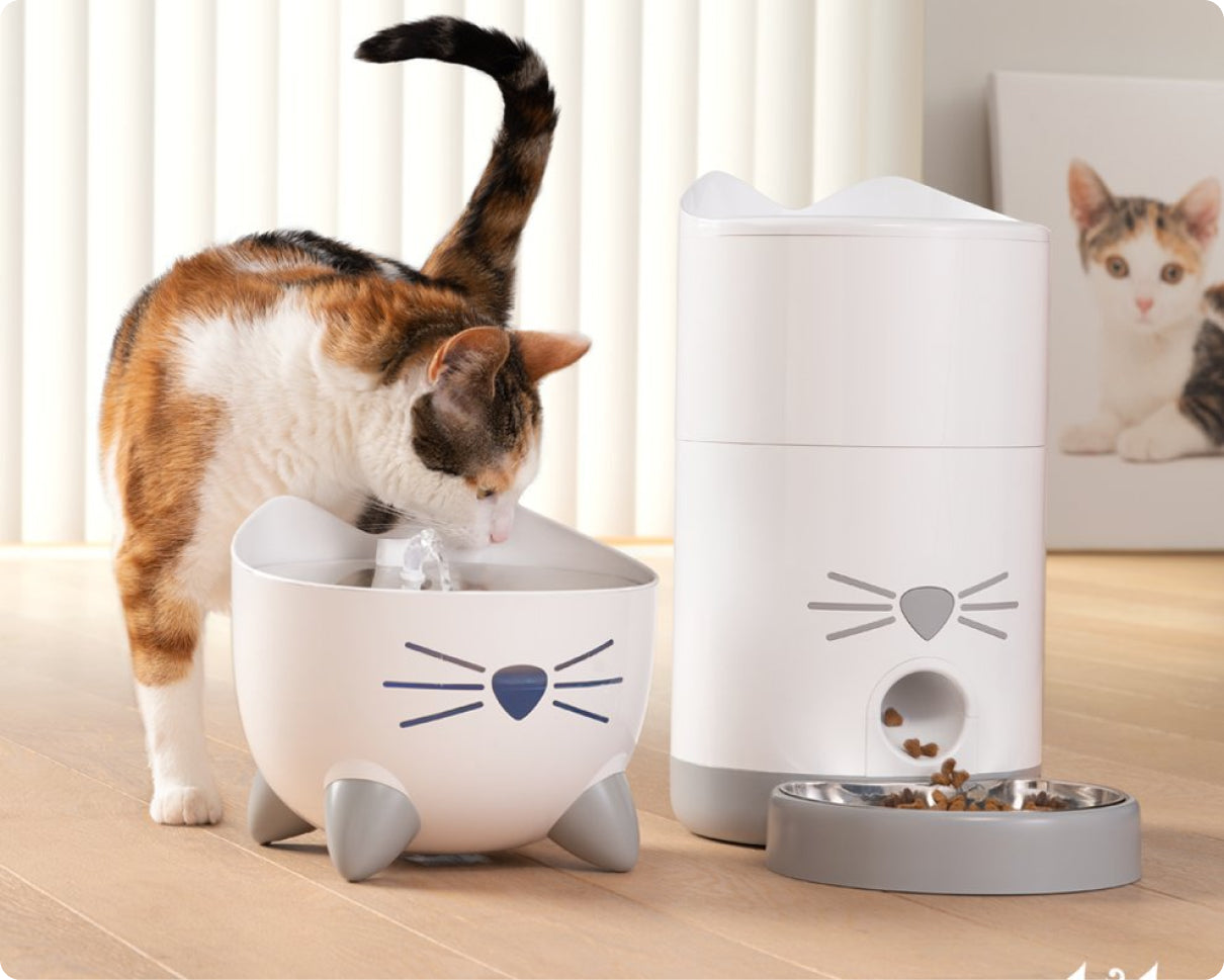 Cat drinking from Catit PIXI Smart Fountain with Smart Feeder 