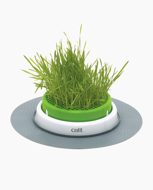 Catit Senses Grass Planter