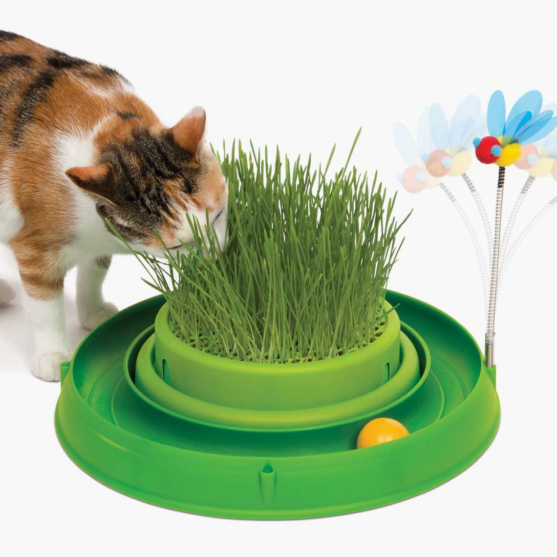 Cat on sale grass toy