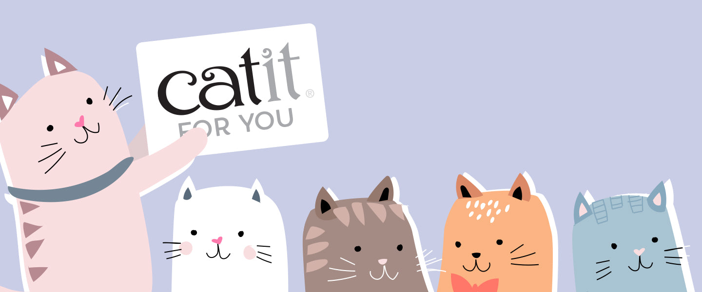 Catnip – Catit USA - Official Catit Brand Store