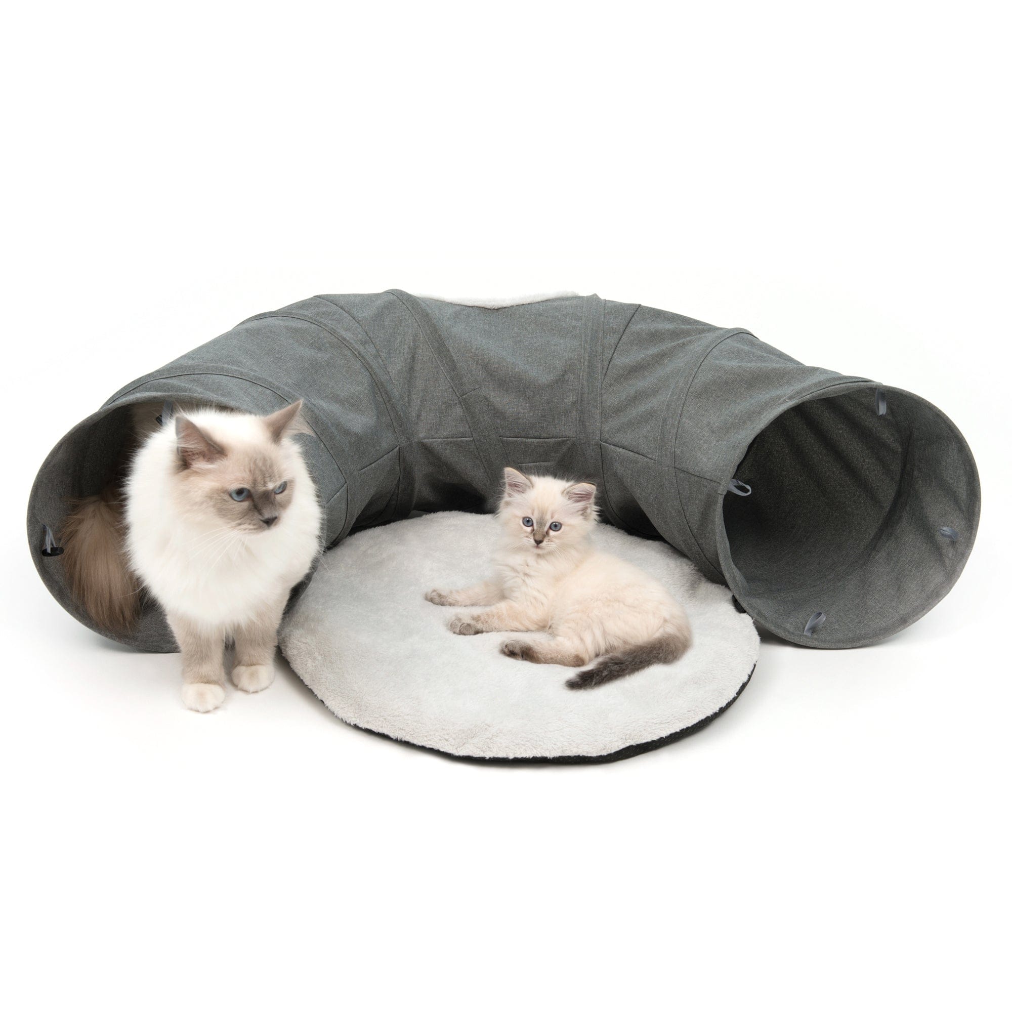 Grey 2025 cat tunnel