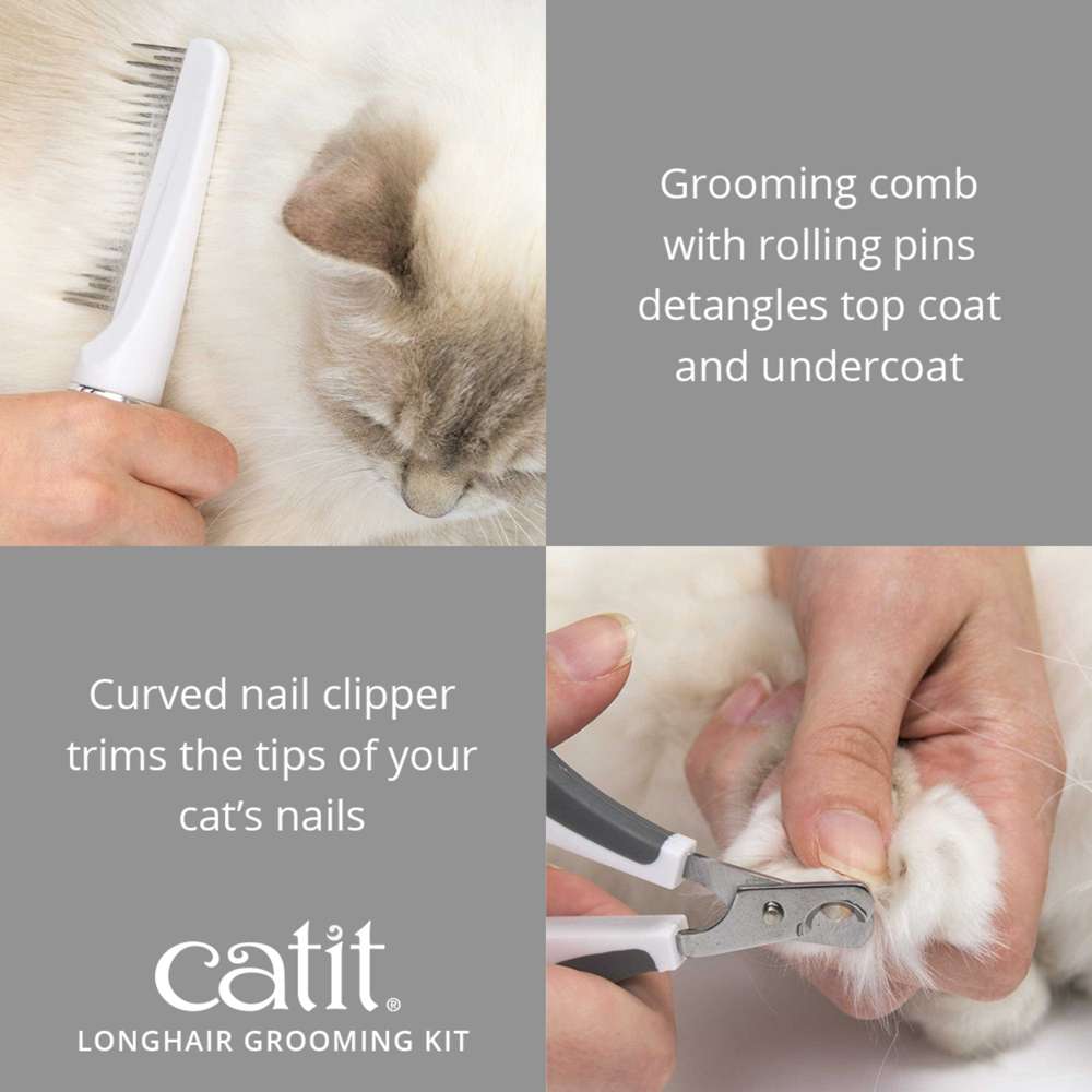 Cat Grooming Tips: Transform Your Feline's Fur Today!
