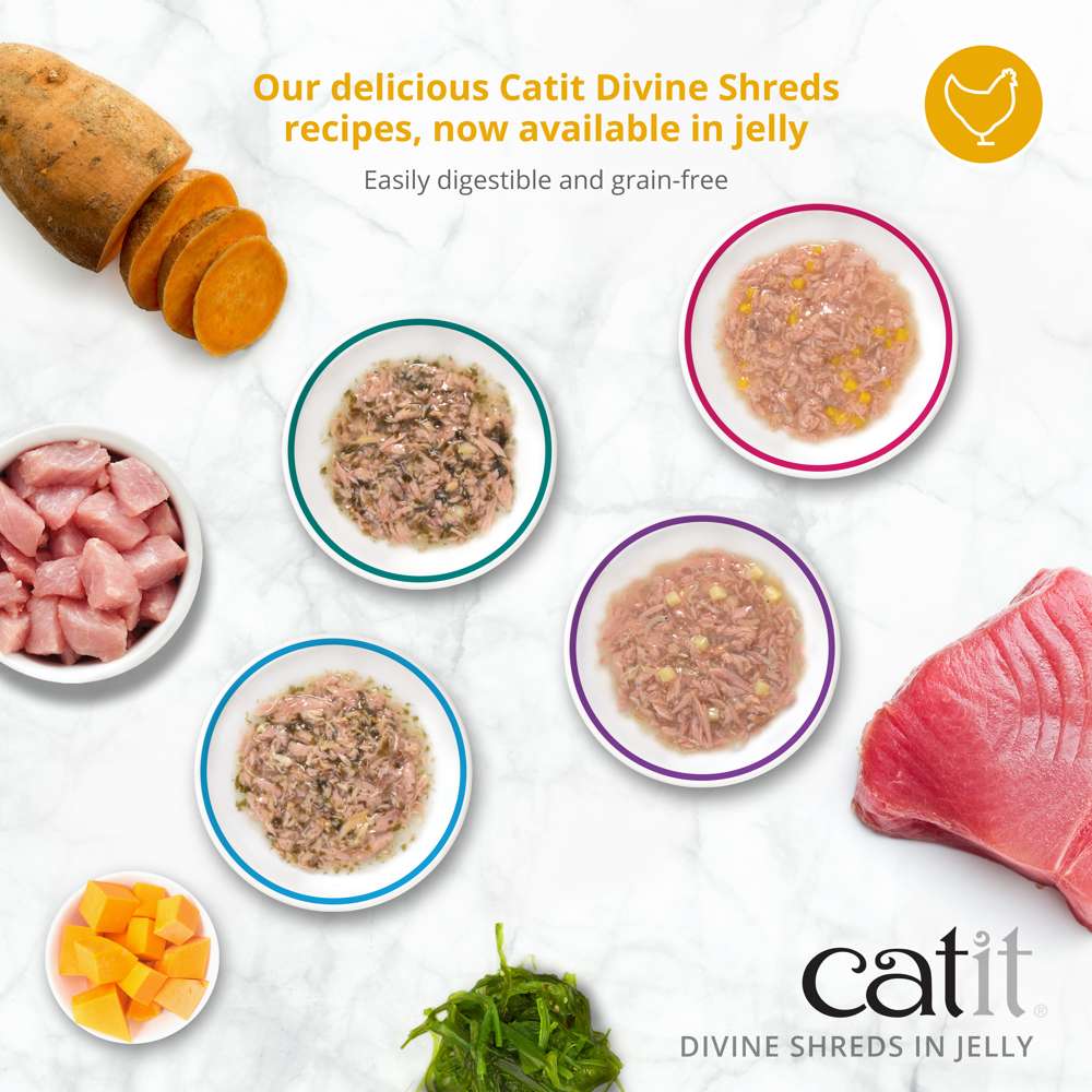 Catit Divine Shreds in Jelly Tuna 4 Pack