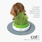Catit Senses Grass Planter