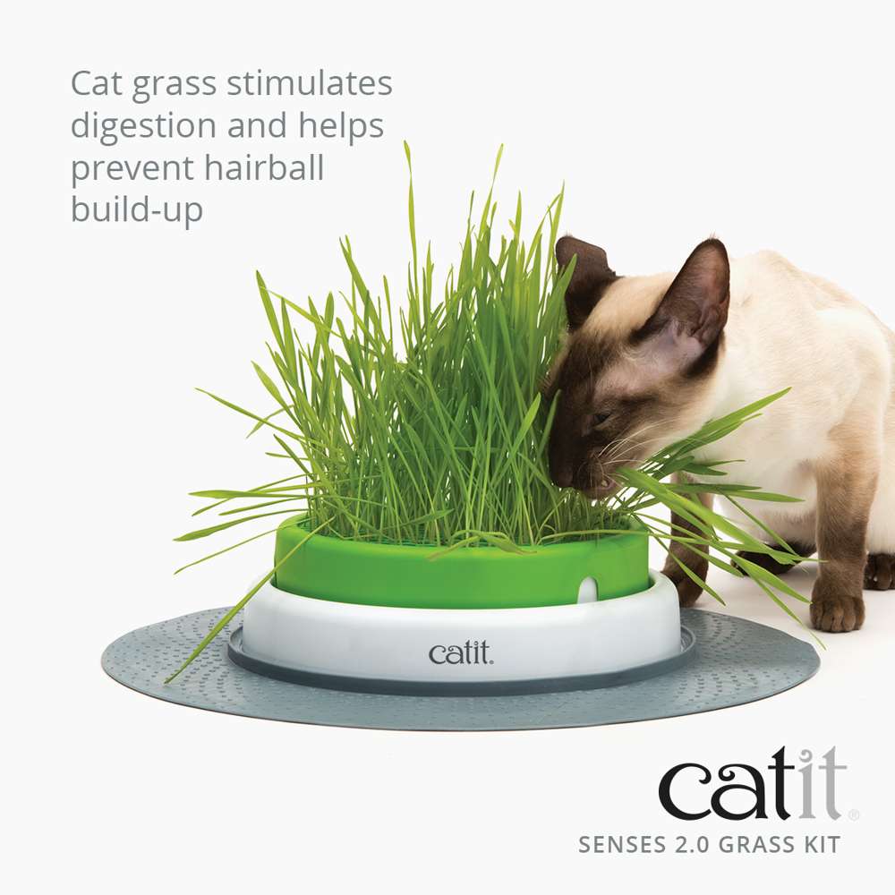 Catit Senses Cat Grass Kit