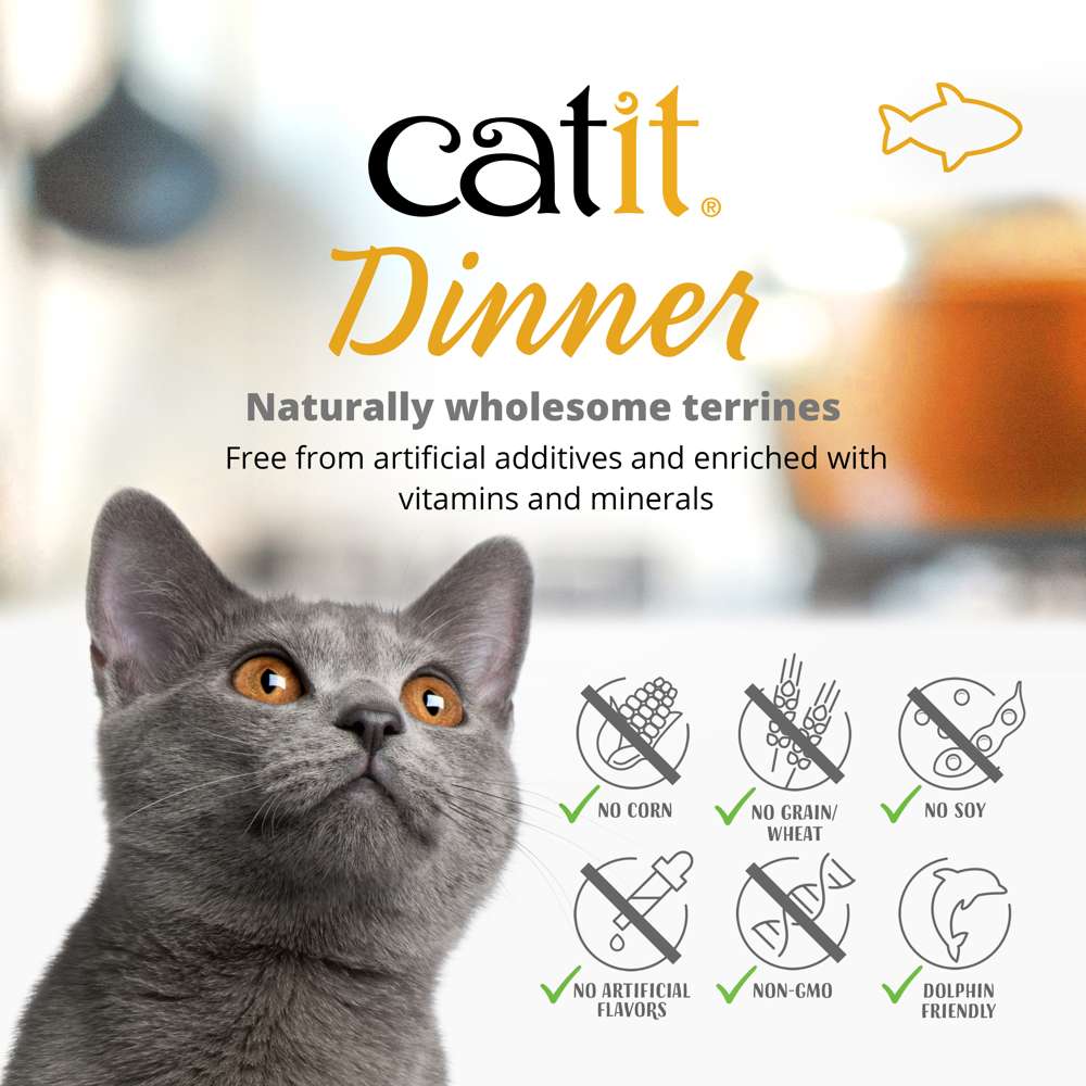 Catit Fish Dinner