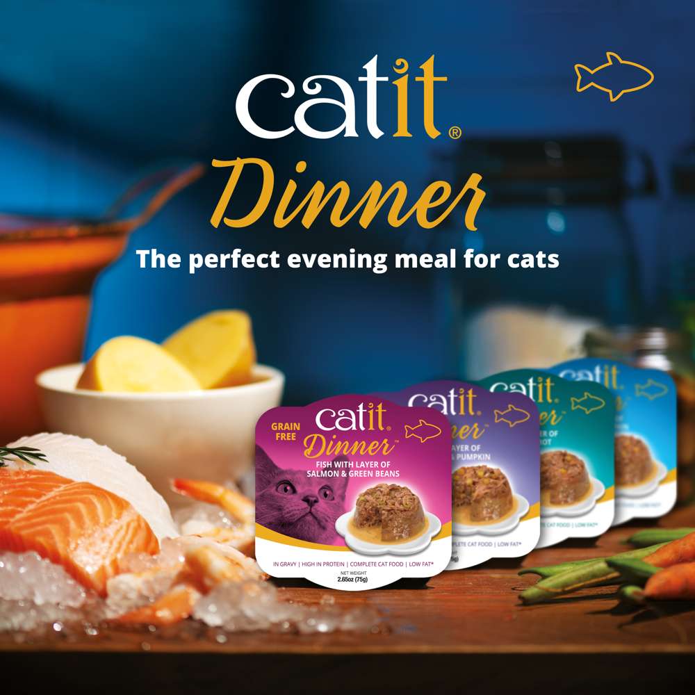 Catit Fish Dinner