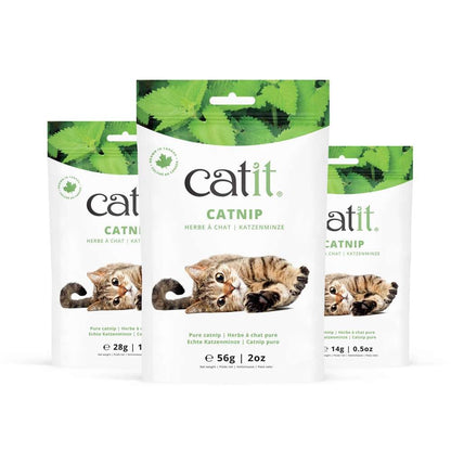 Catit Pure Catnip