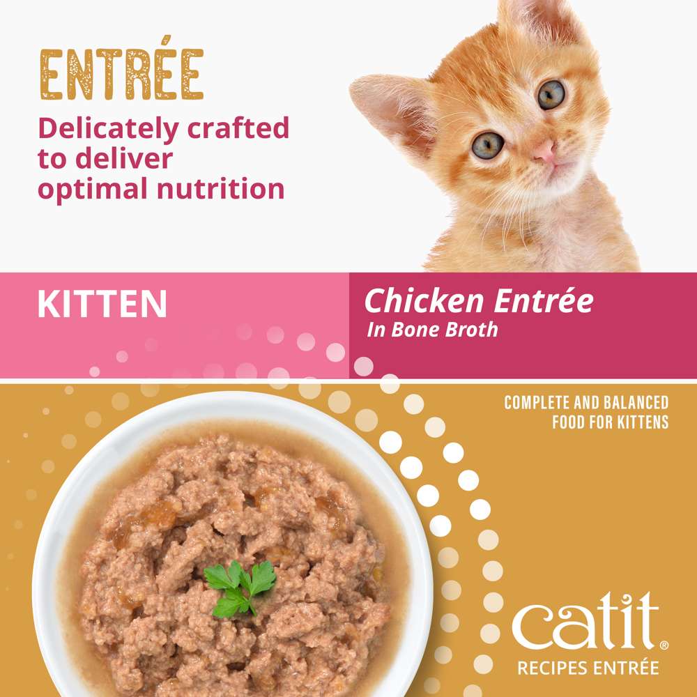 Case of Catit Recipes Chicken Entrée in Bone Broth for Kittens