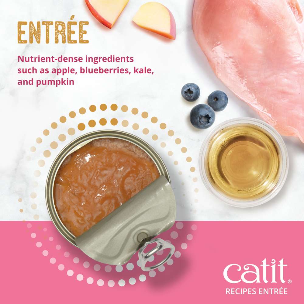 Case of Catit Recipes Chicken Entrée in Bone Broth for Kittens