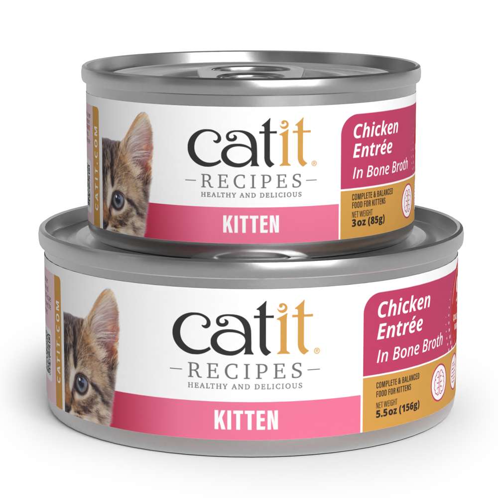 Case of Catit Recipes Chicken Entrée in Bone Broth for Kittens