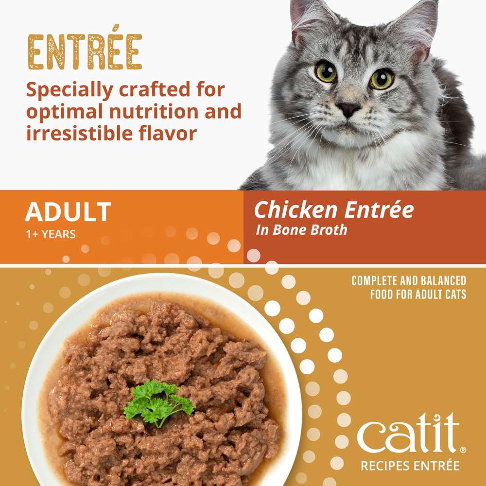 Case of Catit Recipes Chicken Entrée in Bone Broth for Adult Cats