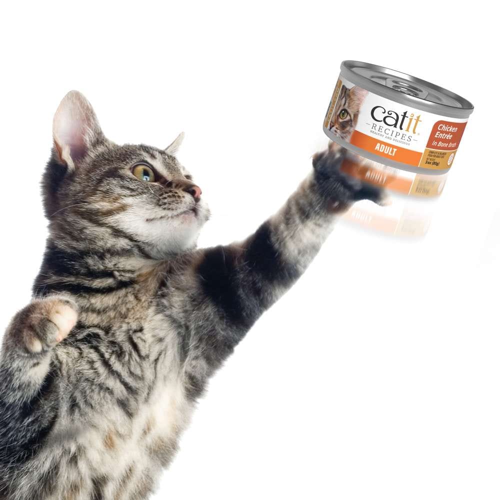 Case of Catit Recipes Chicken Entrée in Bone Broth for Adult Cats