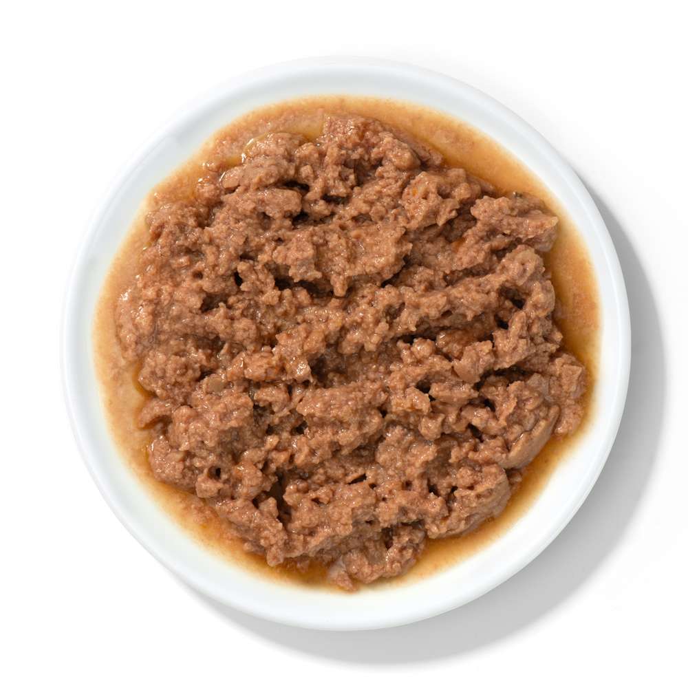 Case of Catit Recipes Chicken Entrée in Bone Broth for Adult Cats