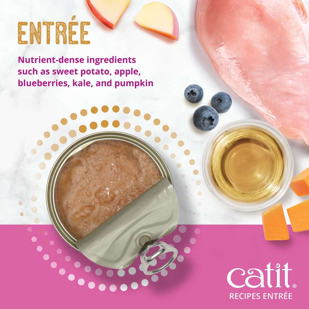Case of Catit Recipes INDOOR Entrée in Bone Broth