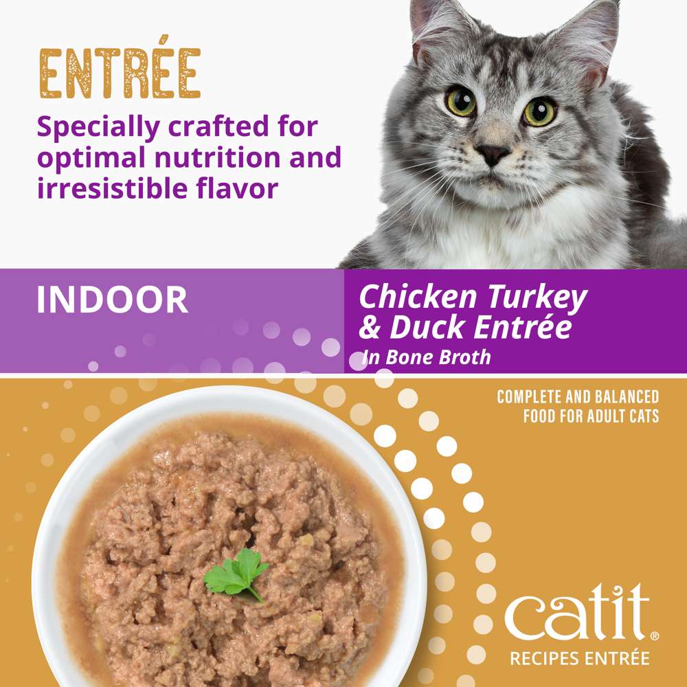 Case of Catit Recipes INDOOR Entrée in Bone Broth