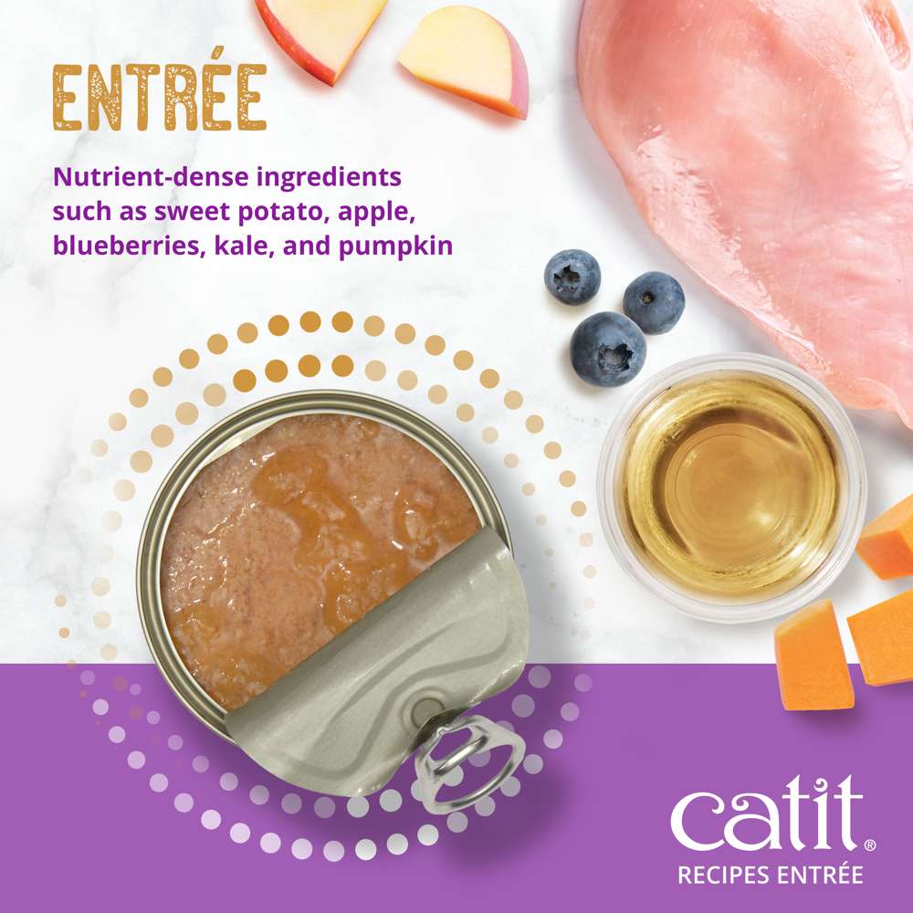 Case of Catit Recipes INDOOR Entrée in Bone Broth