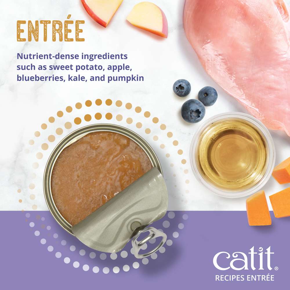 Case of Catit Recipes INDOOR Entrée in Bone Broth