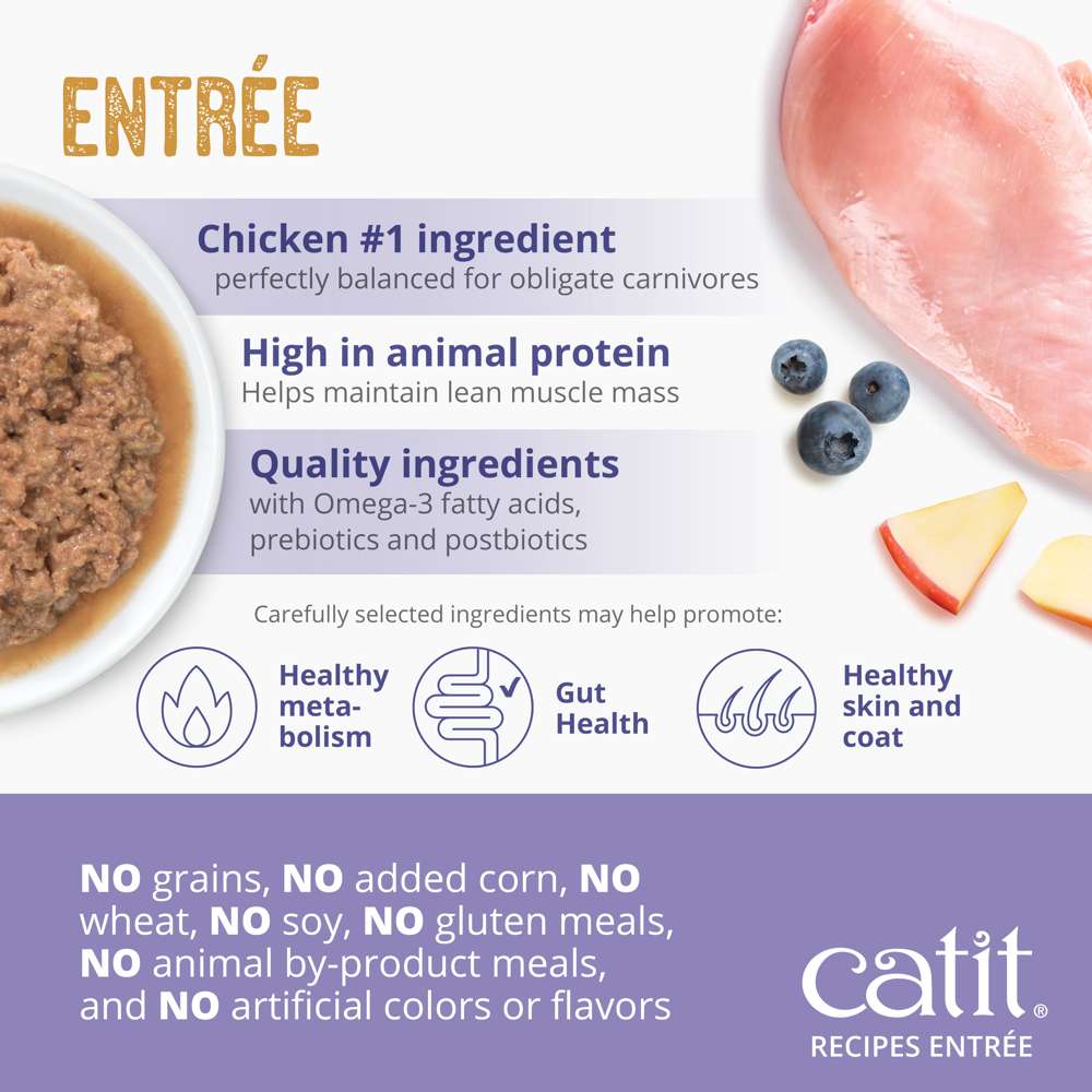 Case of Catit Recipes INDOOR Entrée in Bone Broth