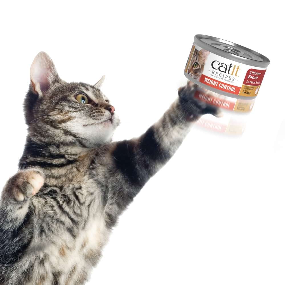 Case of Catit Recipes Weight Control Chicken Entrée in Bone Broth for Adult Cats