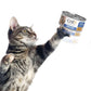 Case of Catit Recipes Skin & Coat Seafood & Chicken Entrée in Bone Broth for Adult Cats