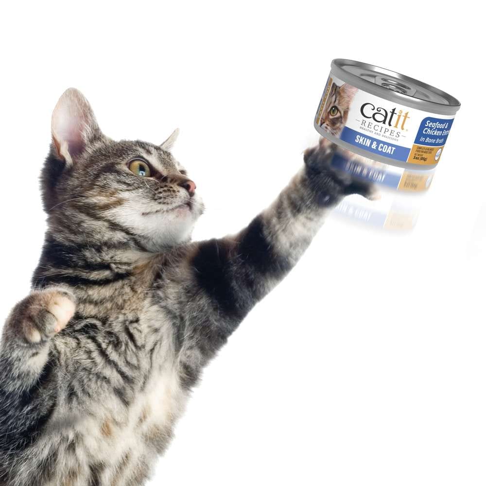 Case of Catit Recipes Skin & Coat Seafood & Chicken Entrée in Bone Broth for Adult Cats