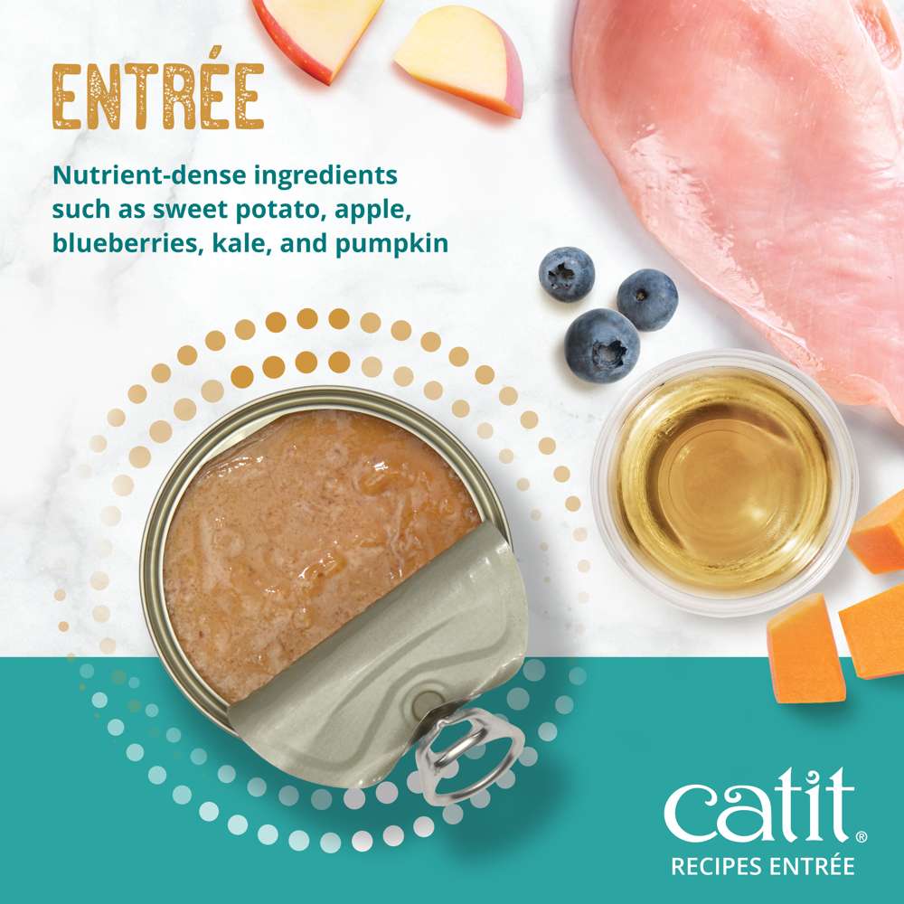 Case of Catit Recipes Chicken Entrée in Bone Broth for Senior Cats