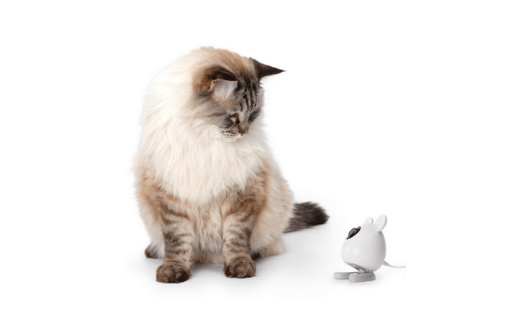 PIXI Smart Mouse Camera