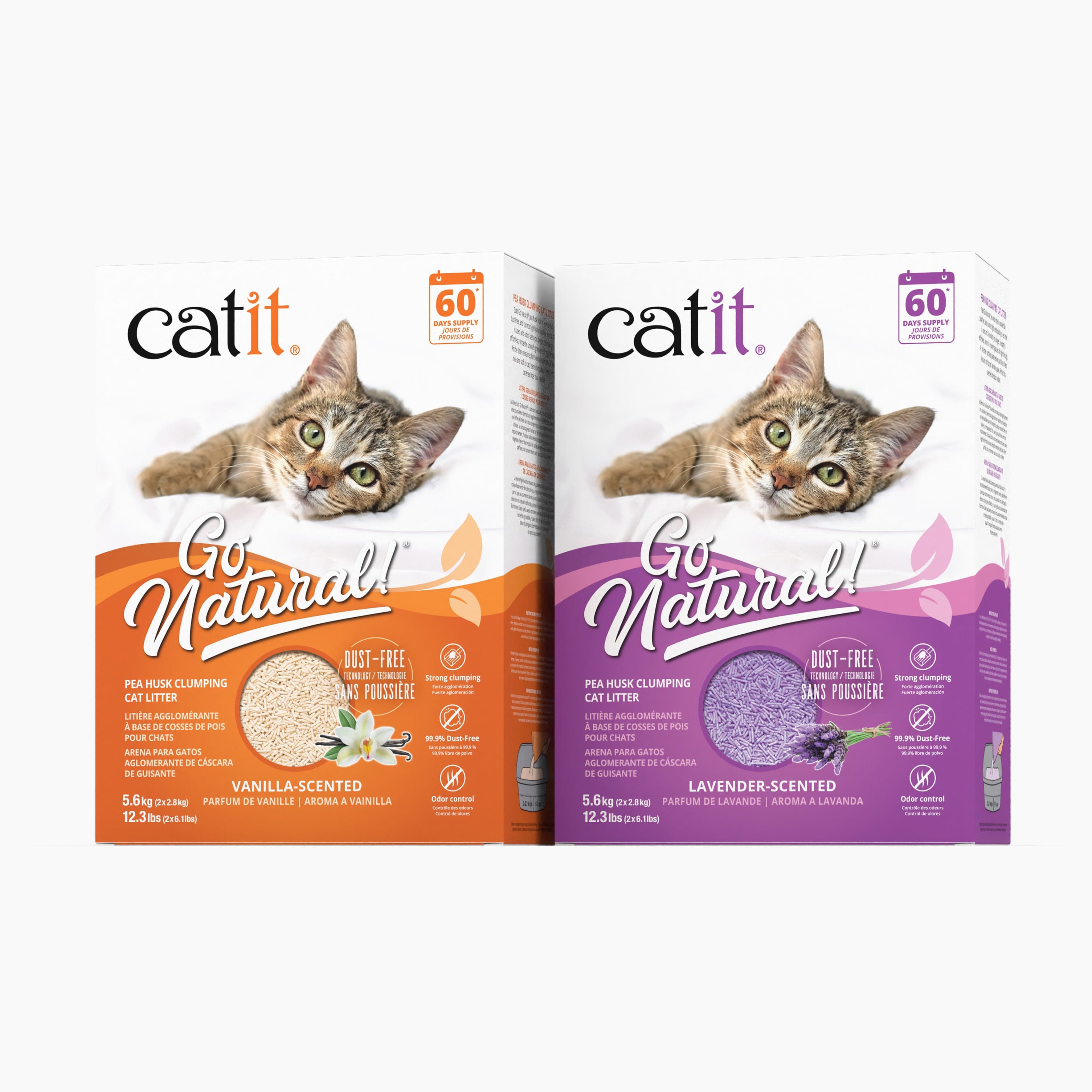 Lavender clumping outlet cat litter