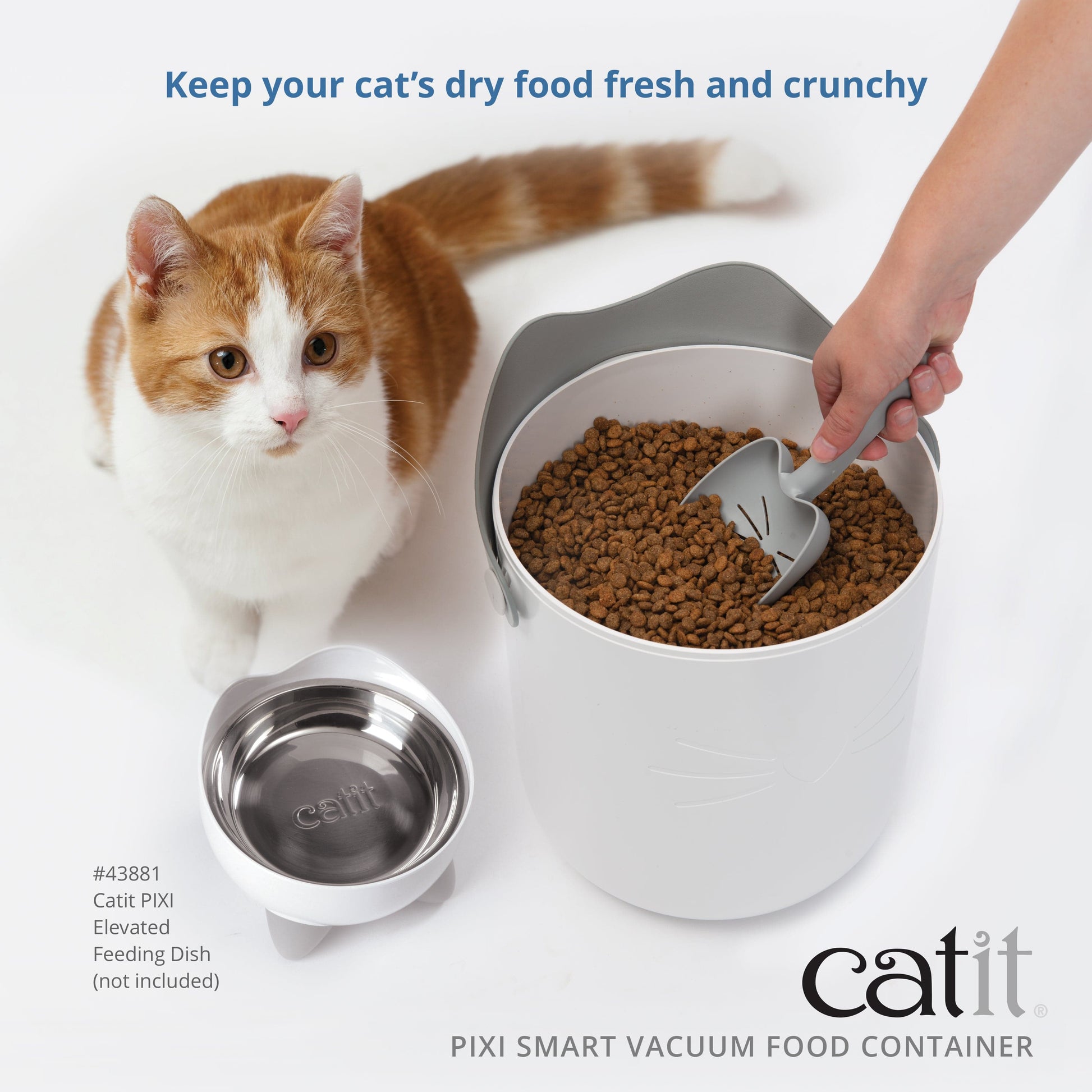 Catit PIXI Elevated Feeding Dish - Products