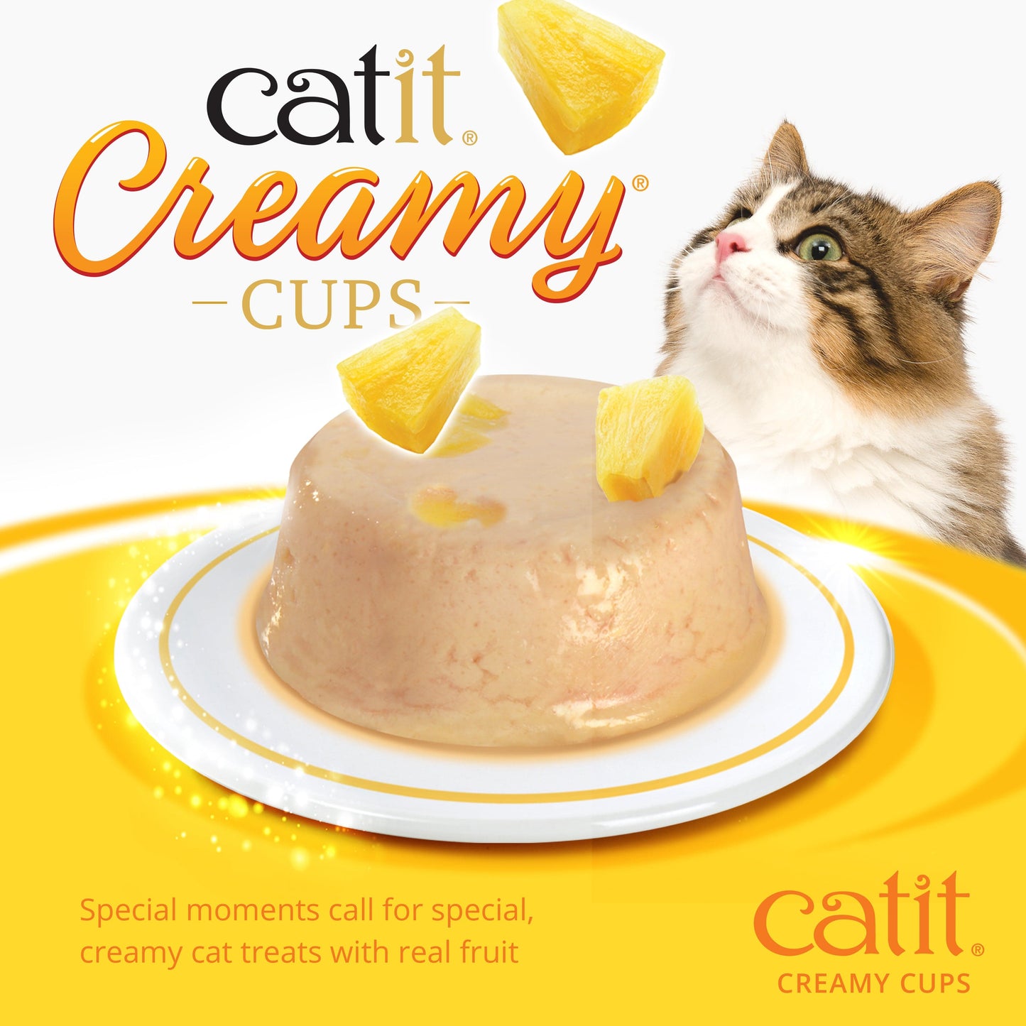 Catit Creamy Cups