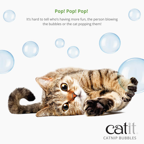 Catit Catnip Spray for Stimulating Indoor and Outdoor Cats
