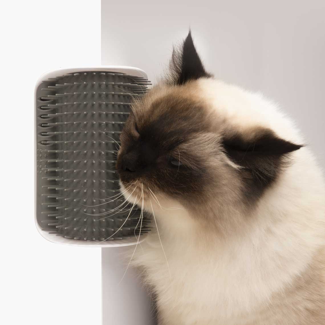 Self groomer sales cat brush