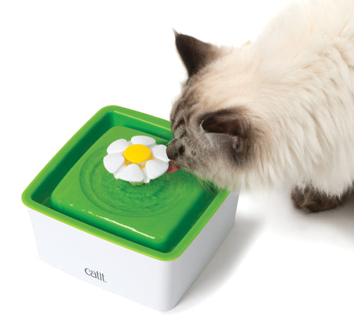 Toys – Catit USA - Official Catit Brand Store