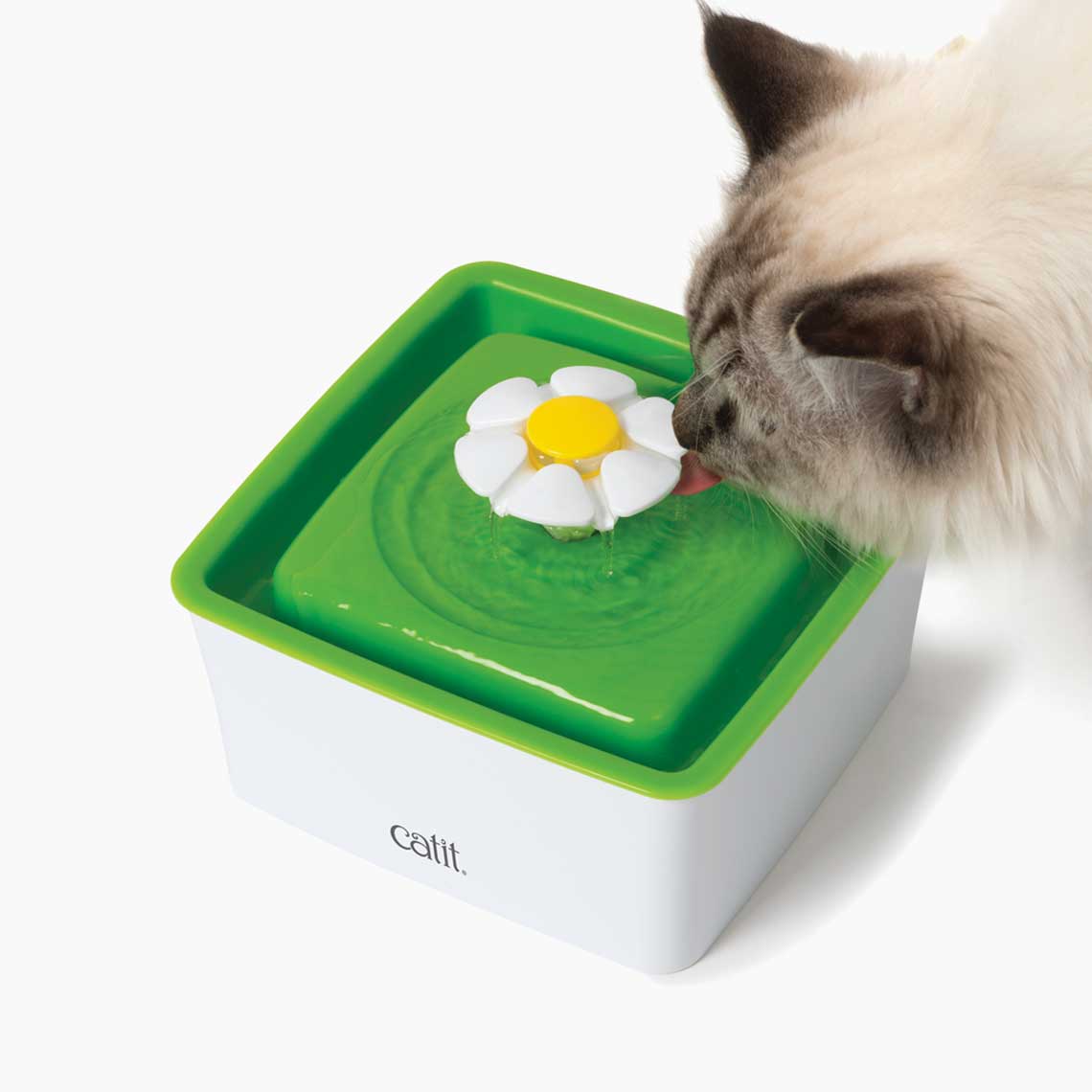 Catit on sale water bowl