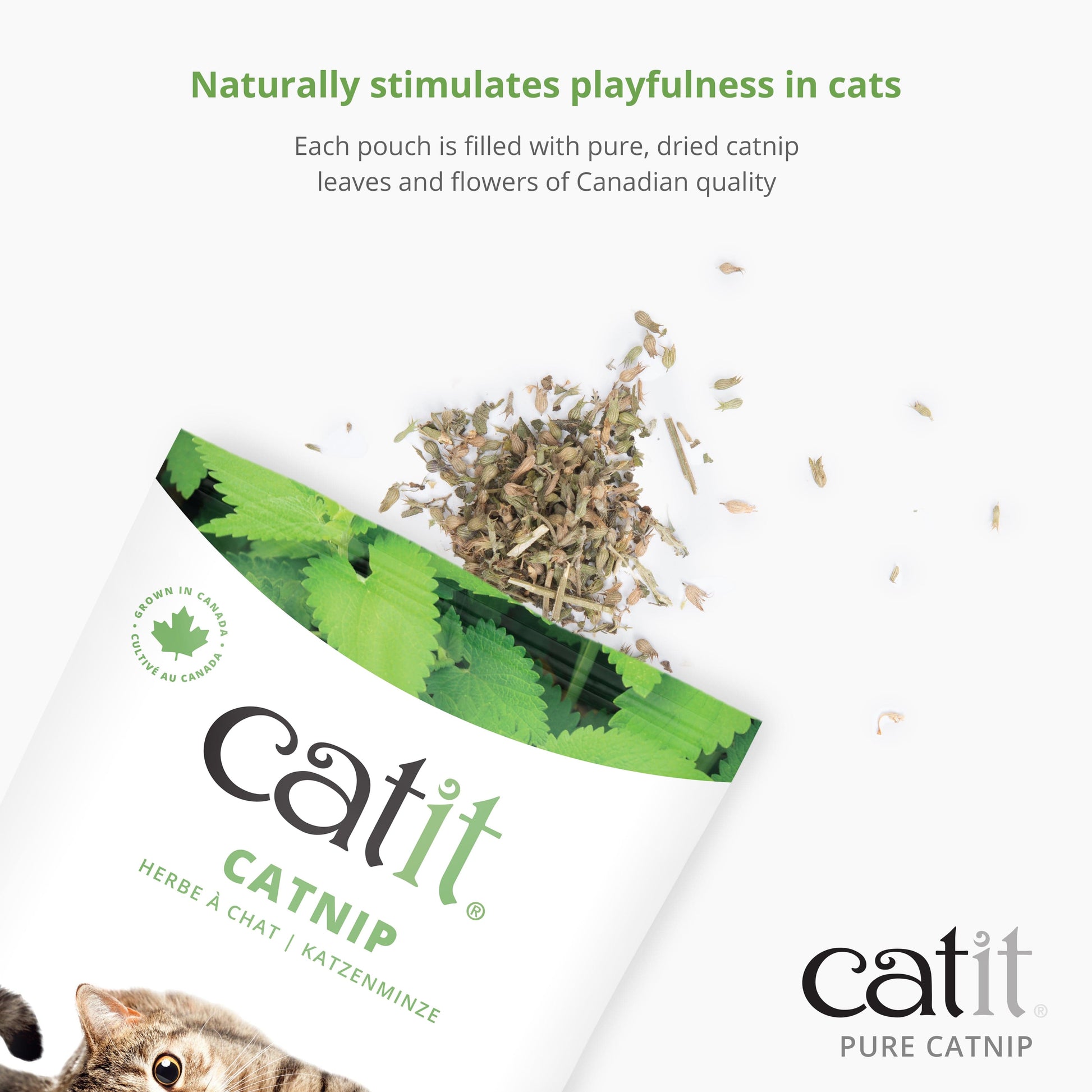 Catit Catnip Spray for Stimulating Indoor and Outdoor Cats