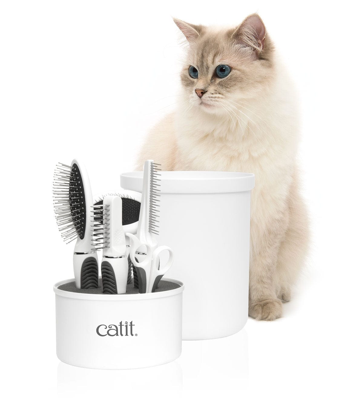 Cat sales grooming kit