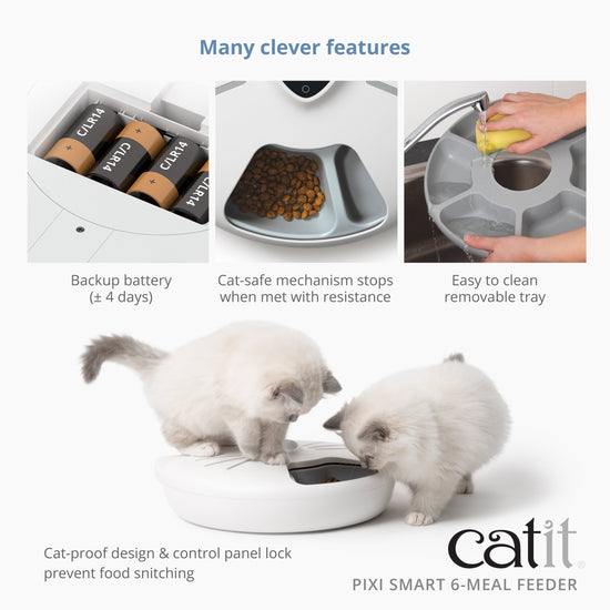 Catit PIXI Smart 6-Meal Feeder – Catit USA - Official Catit Brand Store