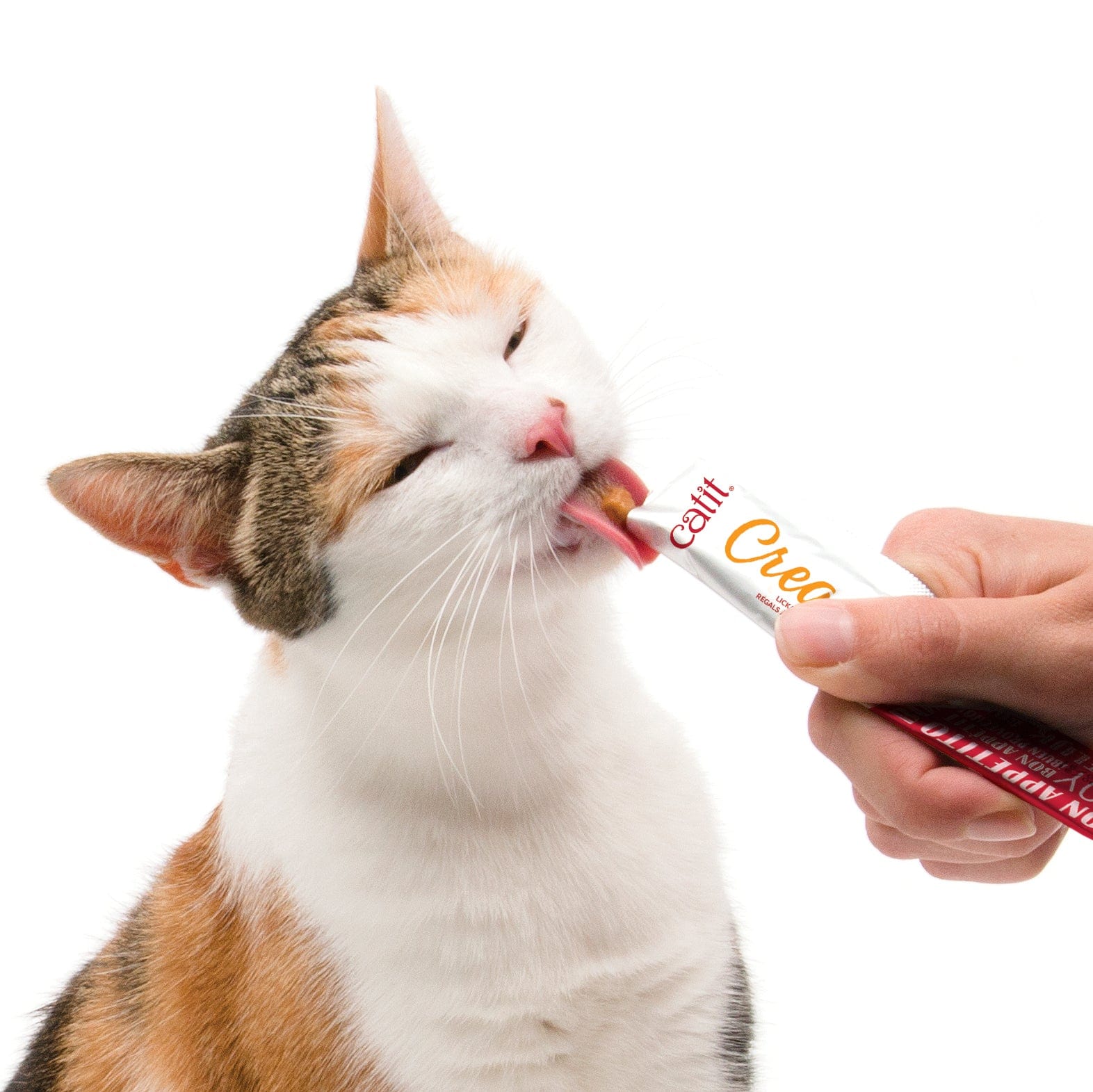 Cat treats in sales a tube