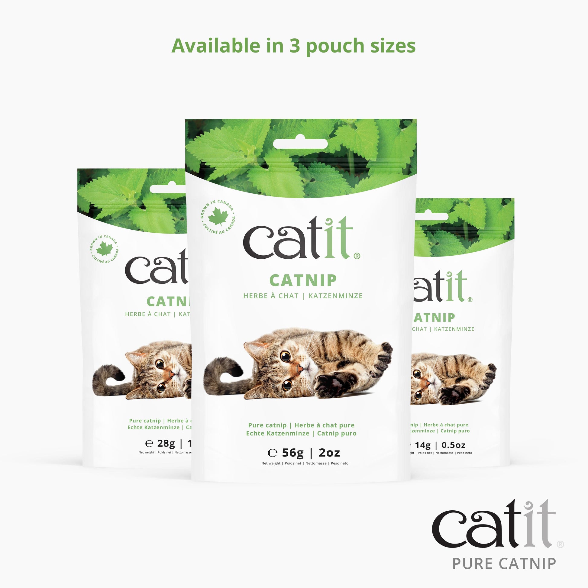 perler Jeg bærer tøj Uforudsete omstændigheder Catit Pure Catnip – Catit USA - Official Catit Brand Store