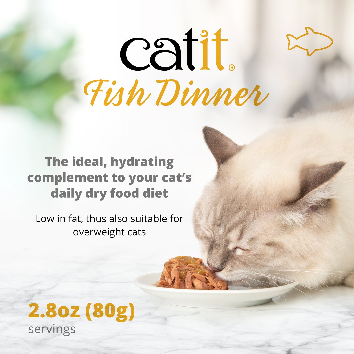 Catit Fish Dinner