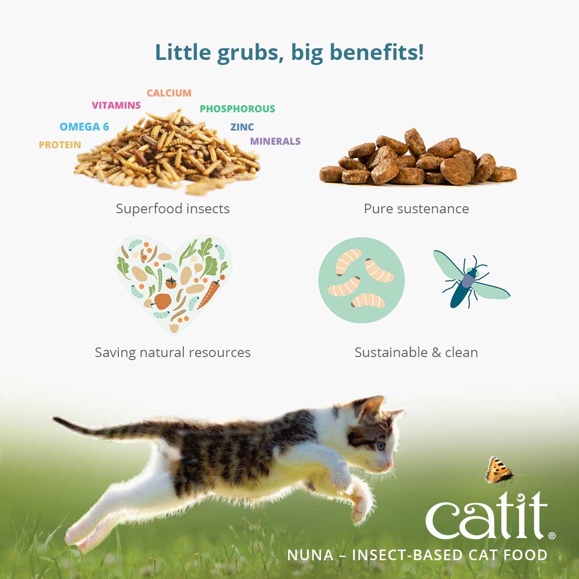 Insect based 2025 cat food