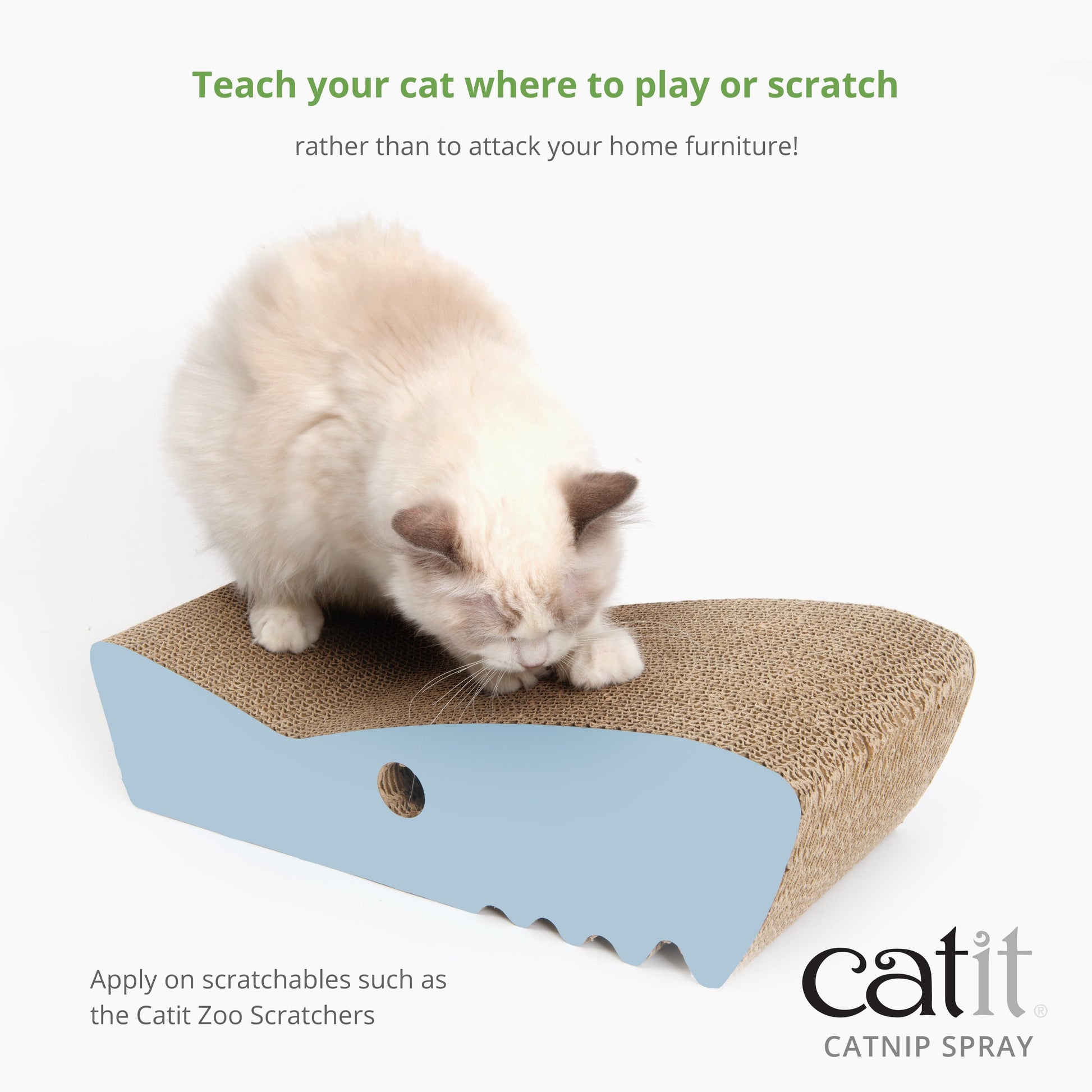 Catnip – Catit USA - Official Catit Brand Store