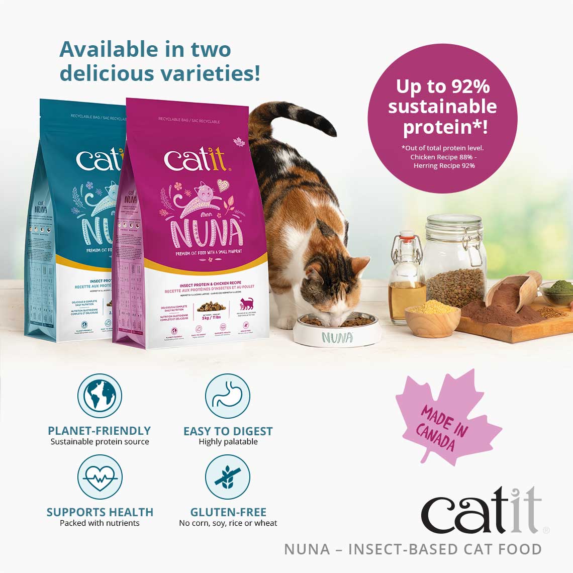 Catit Nuna Insect Protein Based Cat Food Catit USA Official