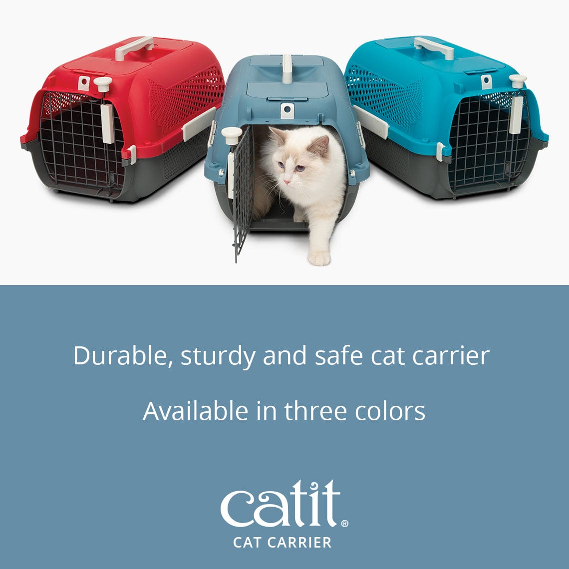The Best Expert-Recommended Cat Carriers · The Wildest